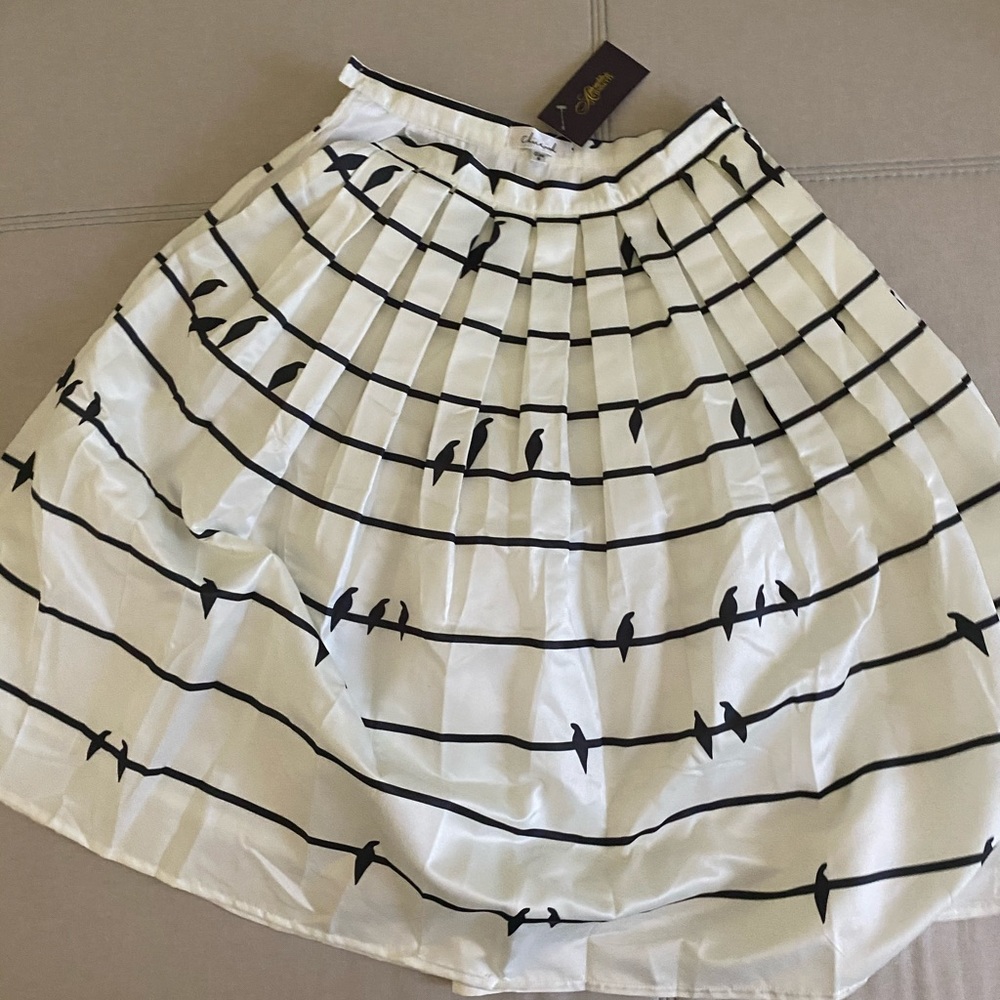 Chicwish skirt
